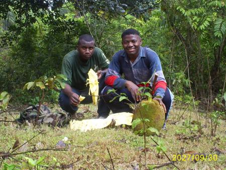AFRIC ELEC