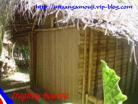 Maison traditionnelle