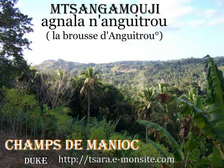 http://tsara.e-monsite.com